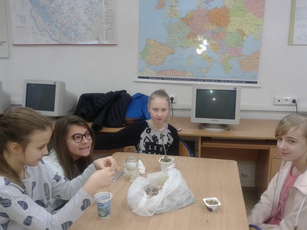 szkolne koo pck 6 20160428 1111855428
