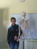 Stefan