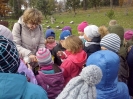 Cmentarz Wojenny-8