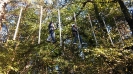 Park Linowy-14