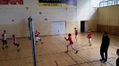 Siatkówka powiat-4