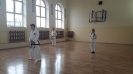 Pokaz sztuk walki taekwon - do ITF prowadzony przez Mistrza Polski 