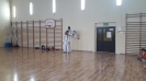 Pokaz sztuk walki taekwon - do ITF prowadzony przez Mistrza Polski 