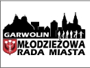 młodzieżowa rada miasta-1